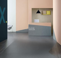 Forbo Marmoleum Decibel on Order 386635 eternity фото 2 | FLOORDEALER